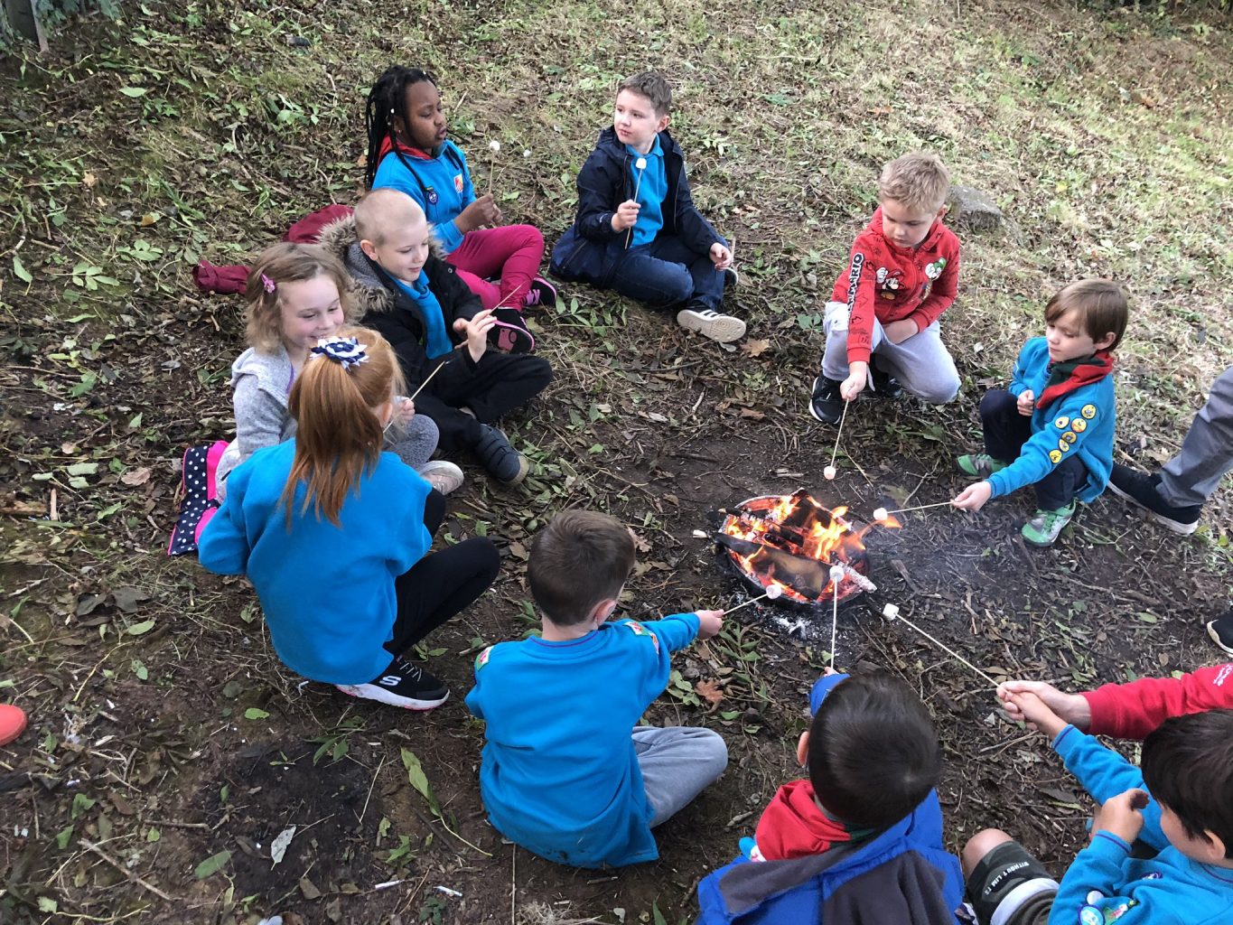 1st Pentwyn Beavers toasting marshmallows